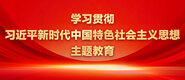 艹大嫩逼美女一一学习贯彻习近平新时代中国特色社会主义思想主题教育_fororder_ad-371X160(2)